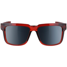 Load image into Gallery viewer, 100% Type-S Sunglasses